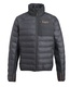 WAHLSTEN BADDE MIESTEN SOFTSHELL TAKKI, TUMMANHARMAA